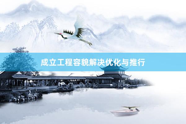 成立工程容貌解决优化与推行