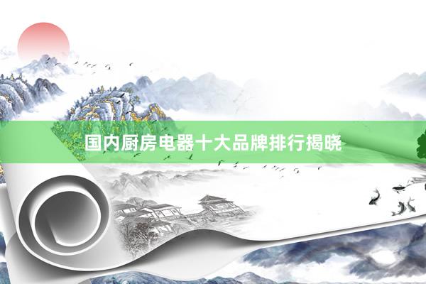 国内厨房电器十大品牌排行揭晓