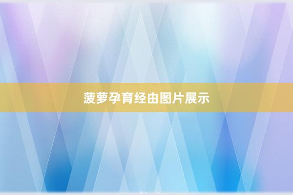 菠萝孕育经由图片展示